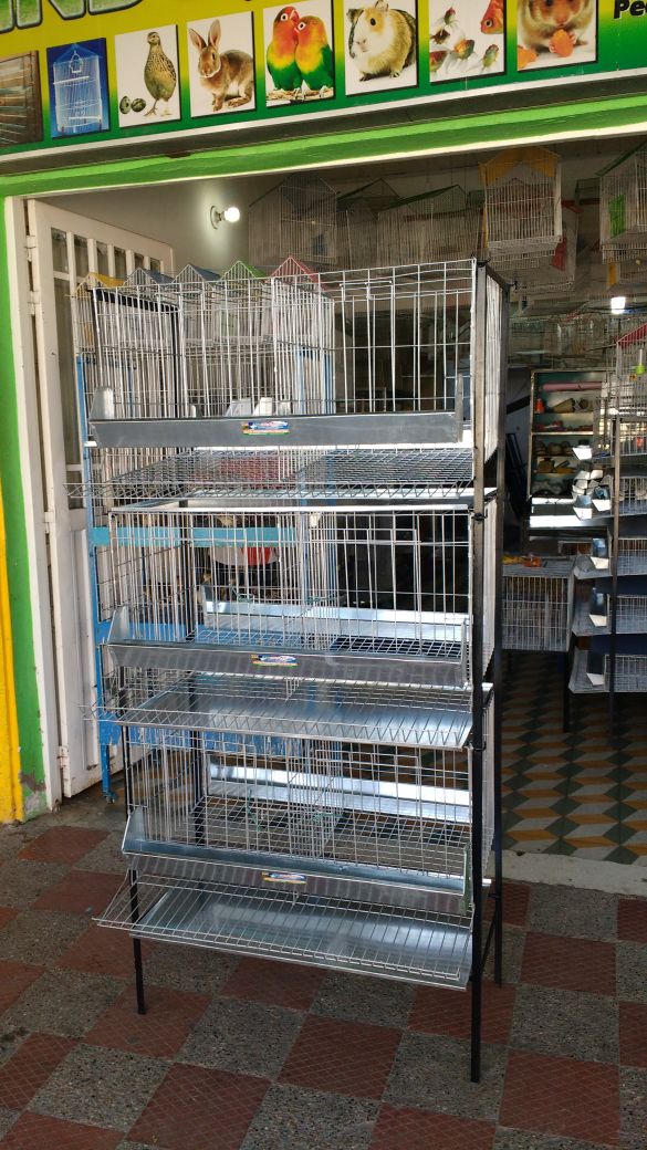 JAULAS PARA GALLINA MODULO VERTICAL PARA 18 AVES