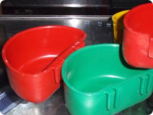 Comederos media luna para loros