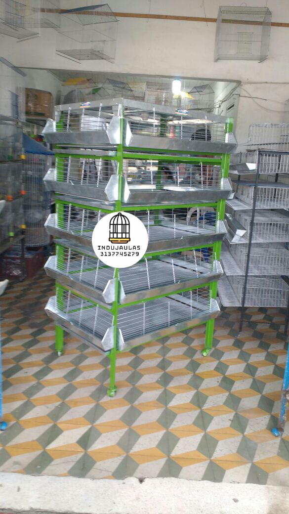JAULAS PARA POLLO CRIADORA X 500 POLLOS DE UN DIA