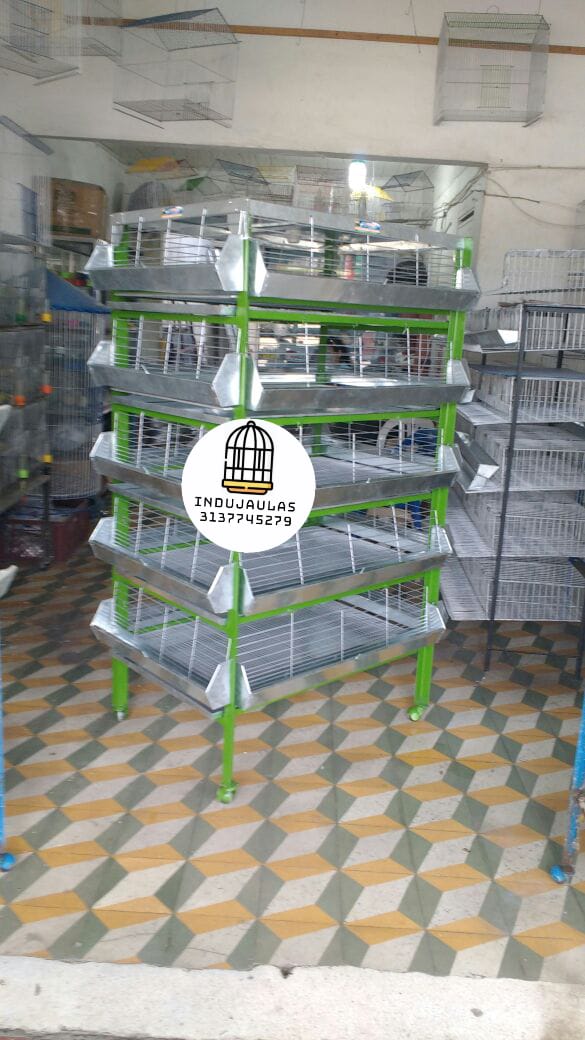 JAULAS PARA POLLO CRIADORA X 500 POLLOS DE UN DIA