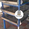 JAULAS PARA POLLO CRIADORA X 500 POLLOS DE UN DIA