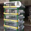 JAULAS PARA POLLO CRIADORA X 500 POLLOS DE UN DIA