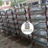 JAULAS PARA POLLO CRIADORA X 500 POLLOS DE UN DIA