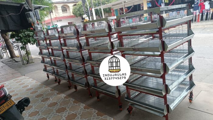 JAULAS PARA POLLO CRIADORA X 500 POLLOS DE UN DIA