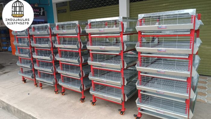 JAULAS PARA POLLO CRIADORA X 500 POLLOS DE UN DIA