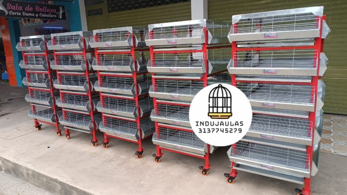 JAULAS PARA POLLO CRIADORA X 500 POLLOS DE UN DIA