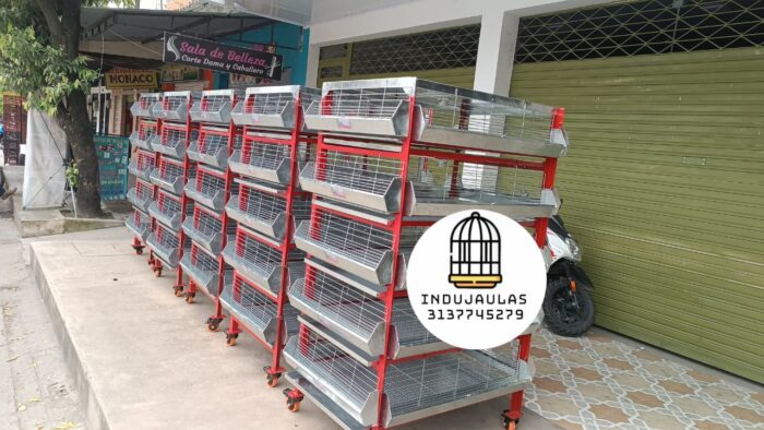 JAULAS PARA POLLO CRIADORA X 500 POLLOS DE UN DIA