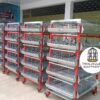 JAULAS PARA POLLO CRIADORA X 500 POLLOS DE UN DIA