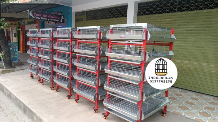 JAULAS PARA POLLO CRIADORA X 500 POLLOS DE UN DIA