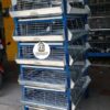 JAULAS PARA POLLO CRIADORA X 500 POLLOS DE UN DIA