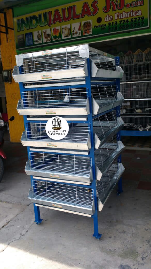 JAULAS PARA POLLO CRIADORA X 500 POLLOS DE UN DIA