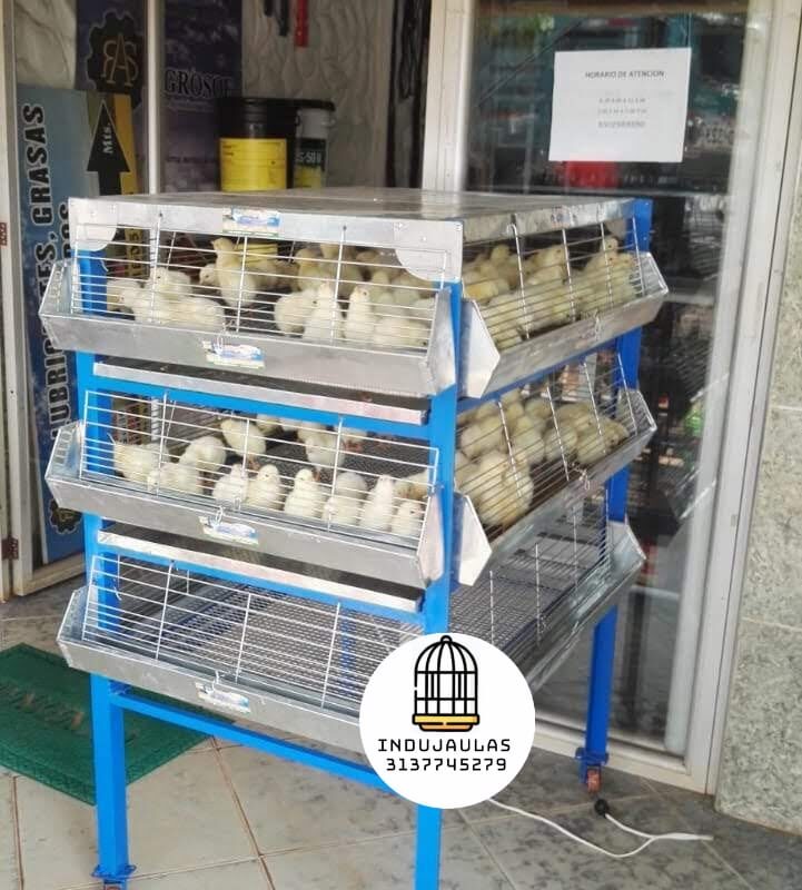 JAULAS PARA POLLO CRIADORA X 300 POLLOS DE UN DIA