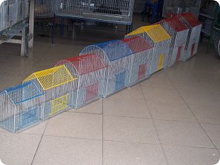 JAULAS CUADRADAS