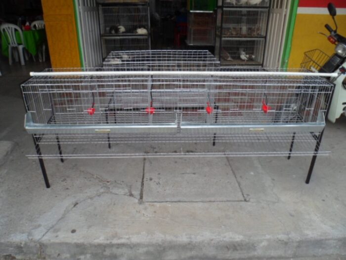 JAULA PARA 15 GALLINAS