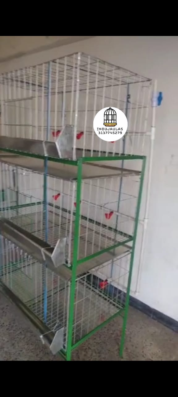 JAULAS PARA POLLO CEBADORA X 30 POLLOS