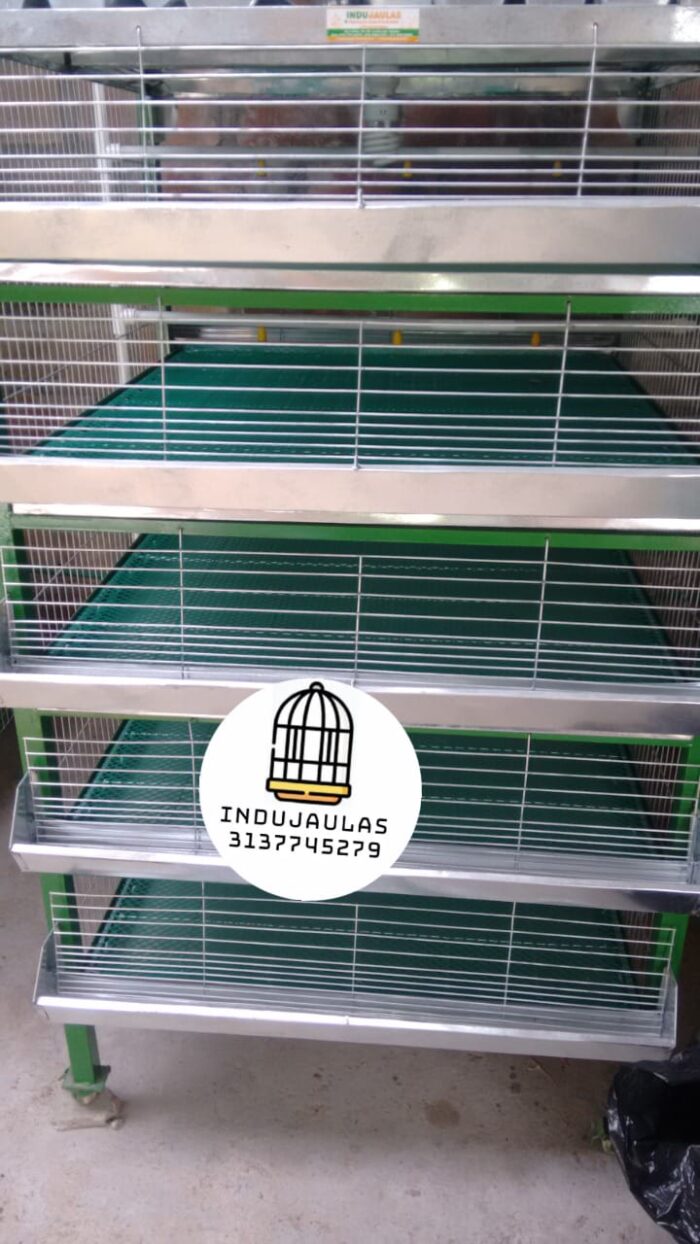 jaula criadora codorniz 4 JAULAS PARA CODORNICES CRIADORAS PARA LEVANTE