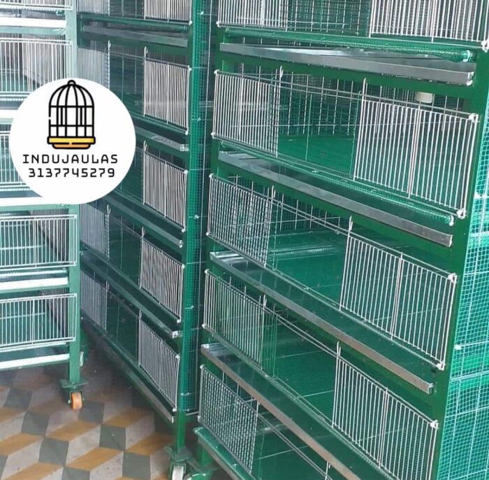 jaula criadora codorniz 7 JAULAS PARA CODORNICES CRIADORAS PARA LEVANTE