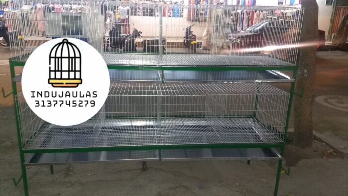 JAULAS PARA CONEJOS - ENGORDE