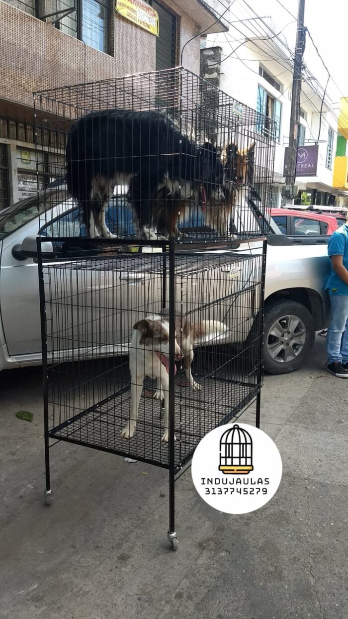 JAULAS PARA PERRO