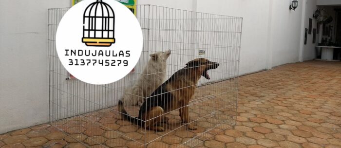 JAULAS PARA PERRO