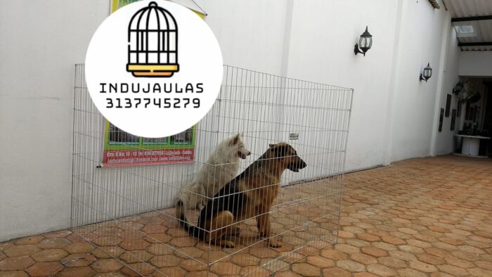 JAULAS PARA PERRO