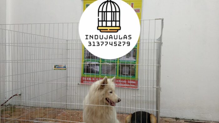 JAULAS PARA PERRO