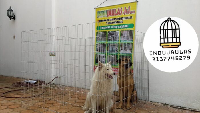 JAULAS PARA PERRO