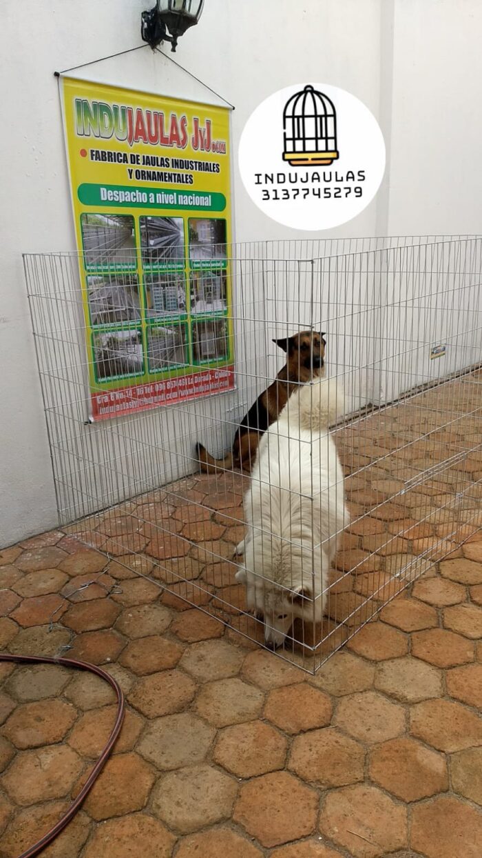 JAULAS PARA PERRO