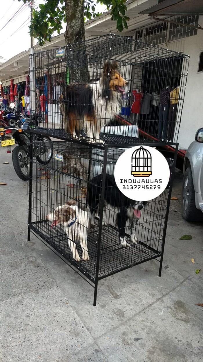 JAULAS PARA PERRO