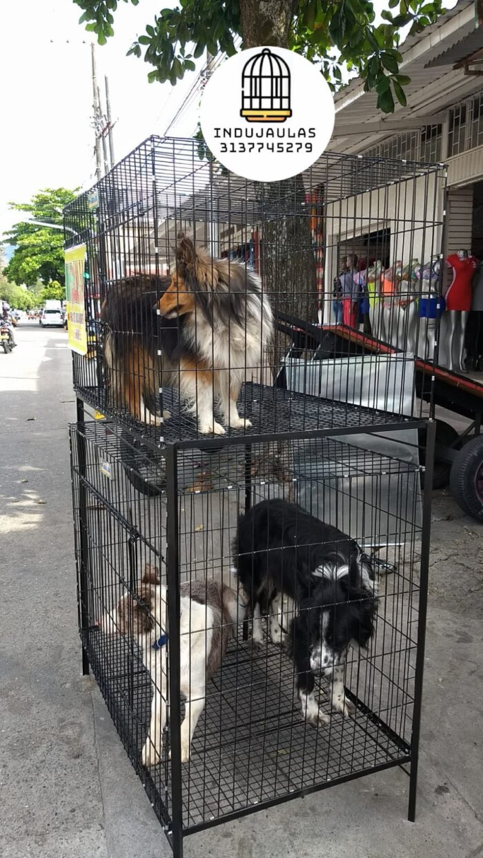 JAULAS PARA PERRO