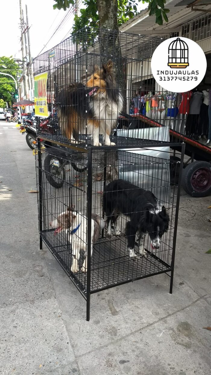 JAULAS PARA PERRO