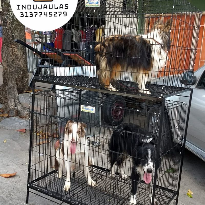 JAULAS PARA PERRO