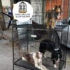 JAULAS PARA PERRO