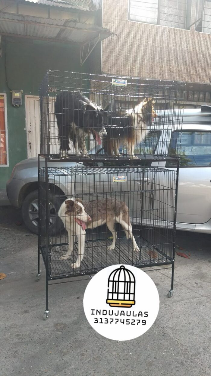 JAULAS PARA PERRO