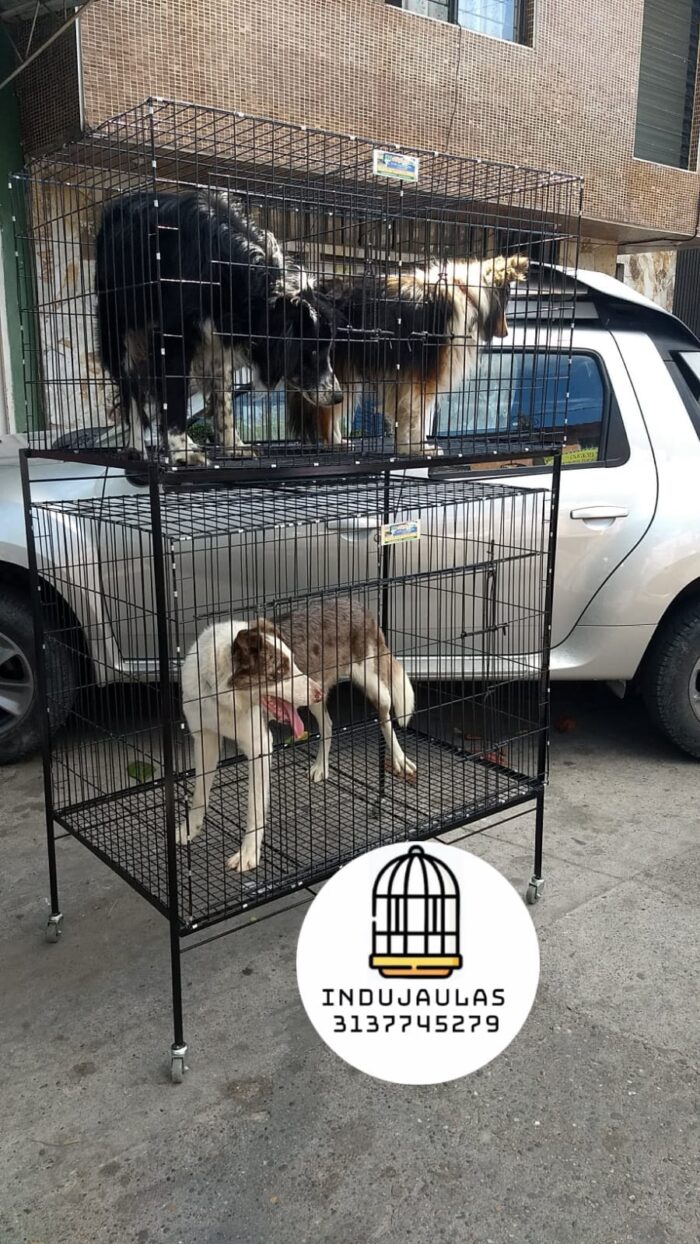JAULAS PARA PERRO