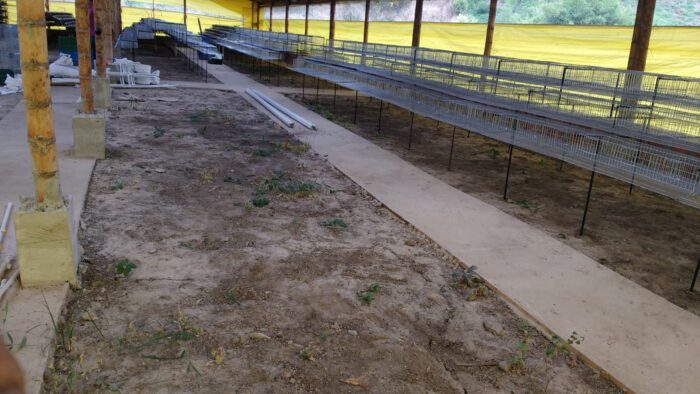 JAULAS PARA CODORNIZ MODULOS PIRAMIDALES PARA 200 AVES