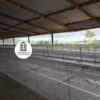 JAULAS PARA CODORNIZ MODULOS PIRAMIDALES PARA 200 AVES
