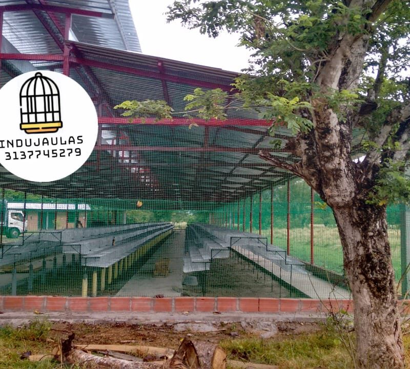 JAULAS PARA CODORNIZ MODULOS PIRAMIDALES PARA 200 AVES