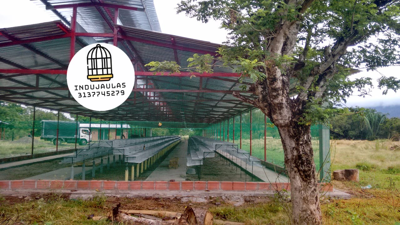 JAULAS PARA CODORNIZ MODULOS PIRAMIDALES PARA 200 AVES