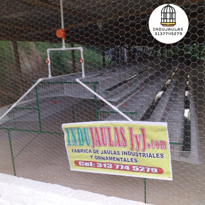 JAULAS PARA CODORNIZ MODULOS PIRAMIDALES PARA 200 AVES