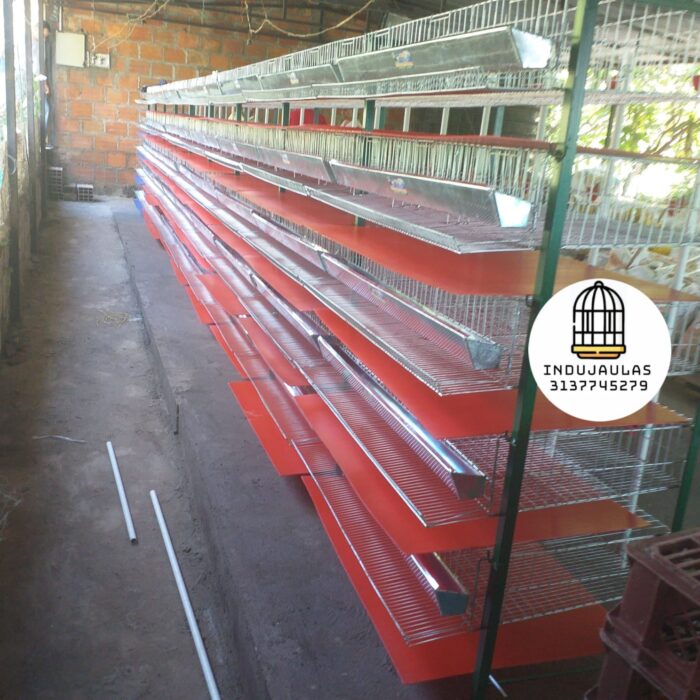 JAULAS PARA CODORNIZ MODULO VERTICAL PARA 200 AVES