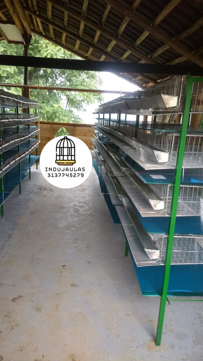 JAULAS PARA CODORNIZ MODULO VERTICAL PARA 200 AVES