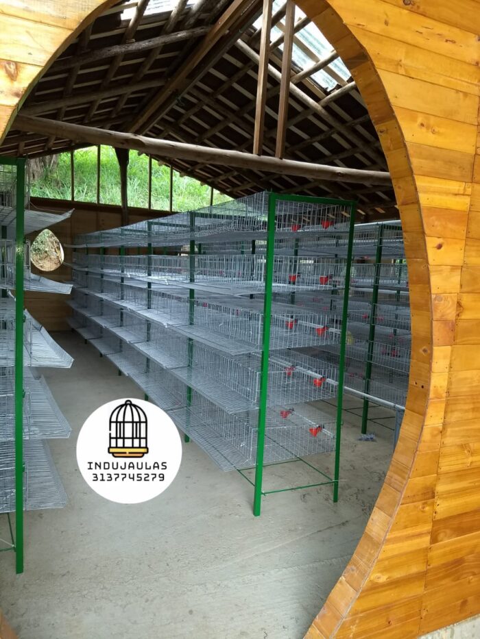 JAULAS PARA CODORNIZ MODULO VERTICAL PARA 200 AVES