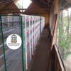 JAULAS PARA CODORNIZ MODULO VERTICAL PARA 200 AVES