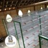 JAULAS PARA CODORNIZ MODULO VERTICAL PARA 200 AVES