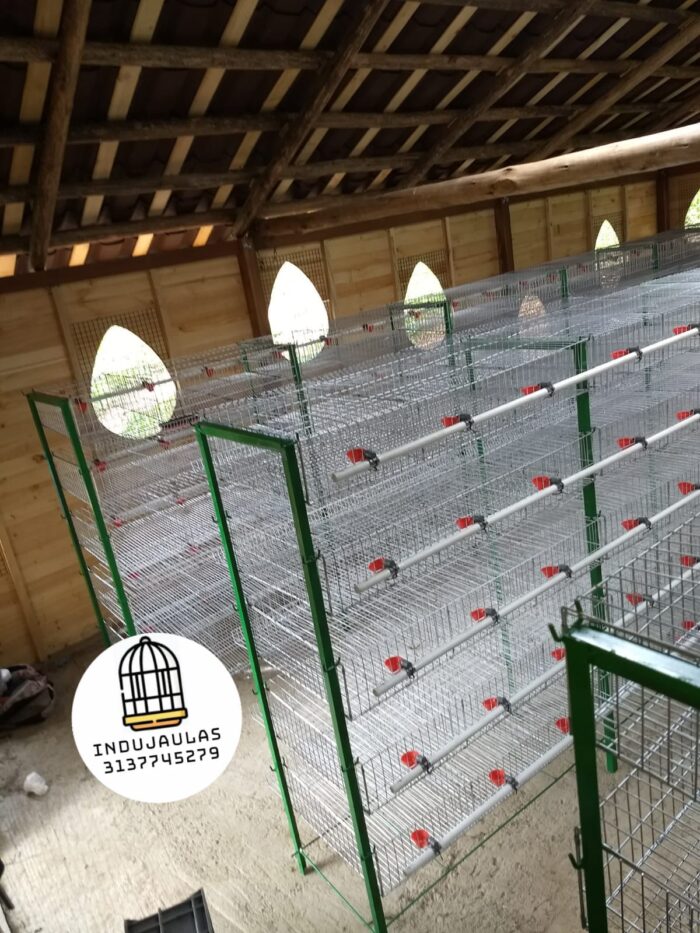 JAULAS PARA CODORNIZ MODULO VERTICAL PARA 200 AVES