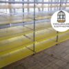 JAULAS PARA CODORNIZ MODULO VERTICAL PARA 200 AVES