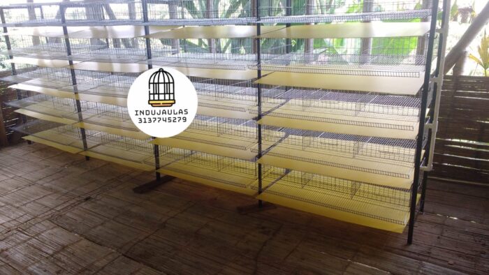 JAULAS PARA CODORNIZ MODULO VERTICAL PARA 200 AVES