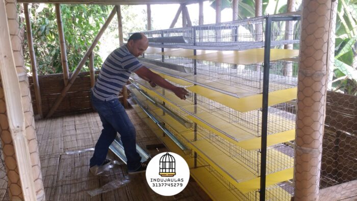 JAULAS PARA CODORNIZ MODULO VERTICAL PARA 200 AVES