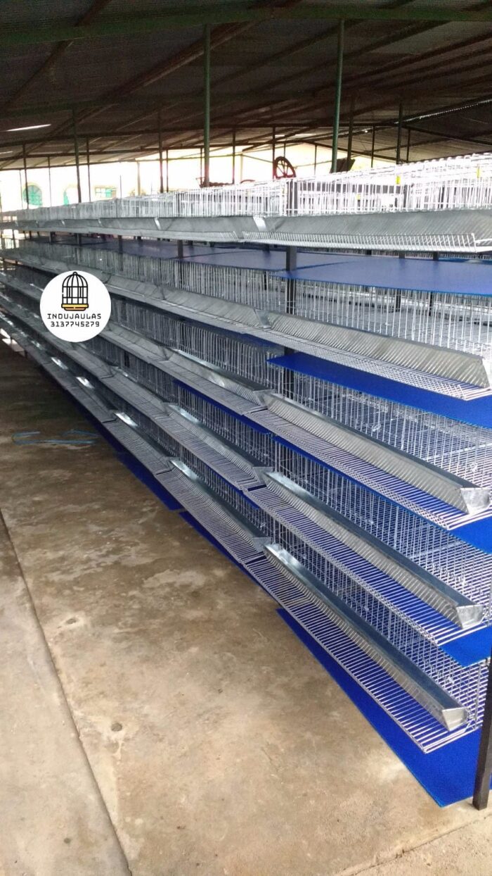 JAULAS PARA CODORNIZ MODULO VERTICAL PARA 200 AVES